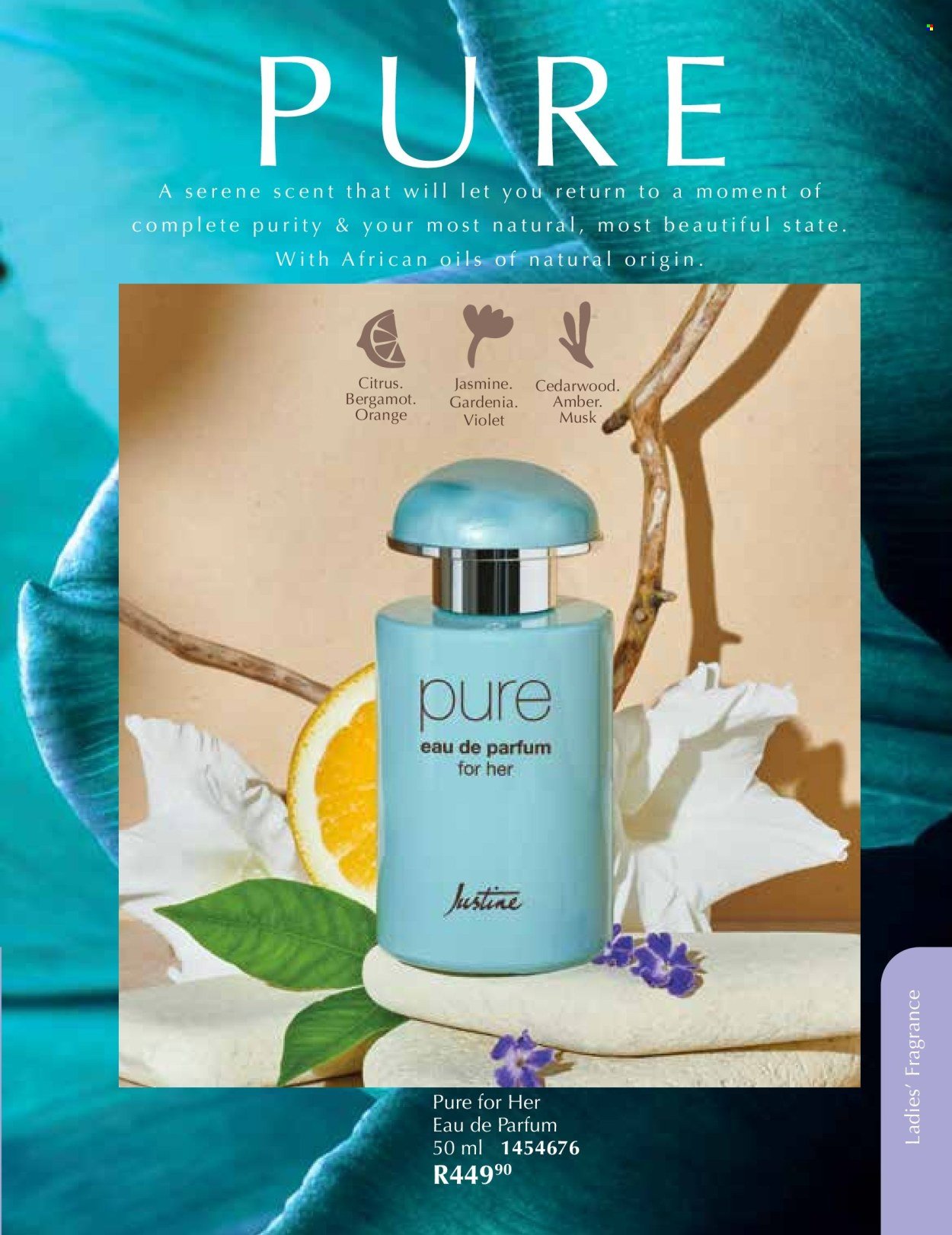 JUSTINE specials - JANUARY (2026-01-01 - 2026-01-31) | 55