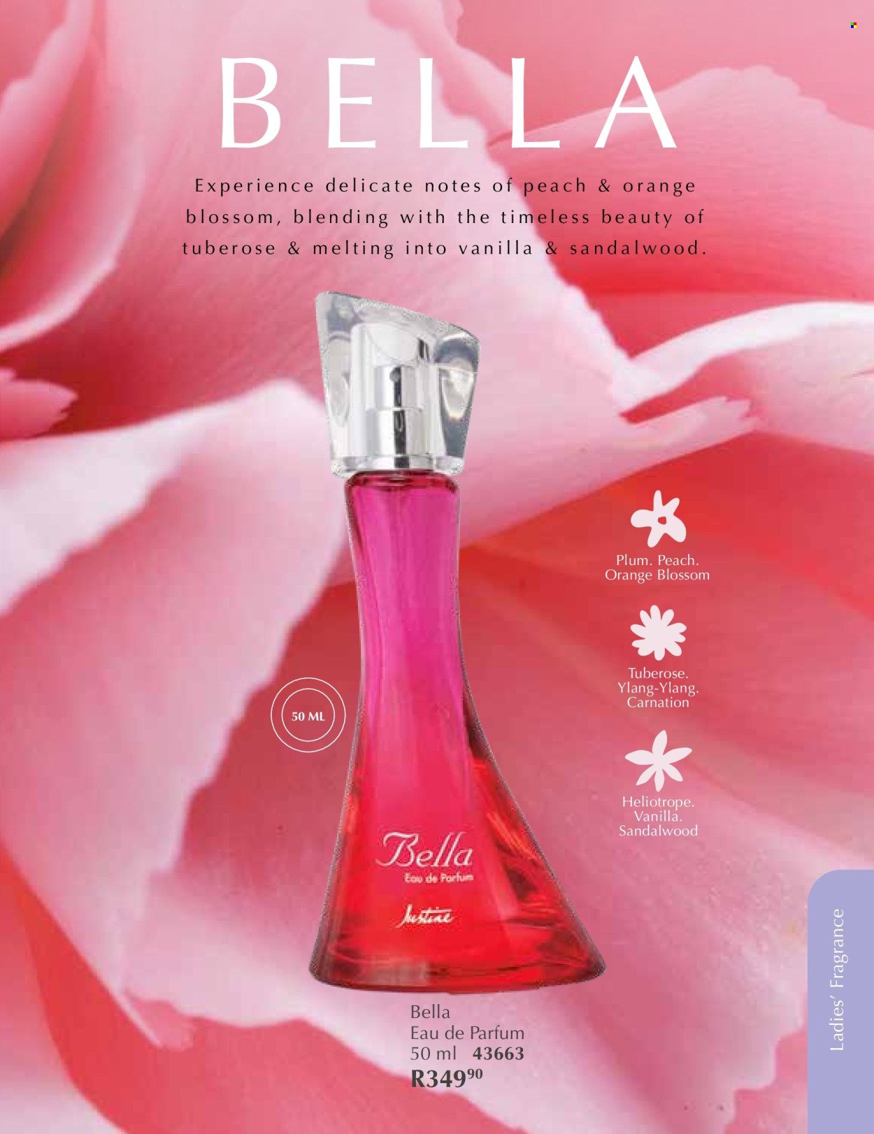 JUSTINE specials - JANUARY (2026-01-01 - 2026-01-31) | 56