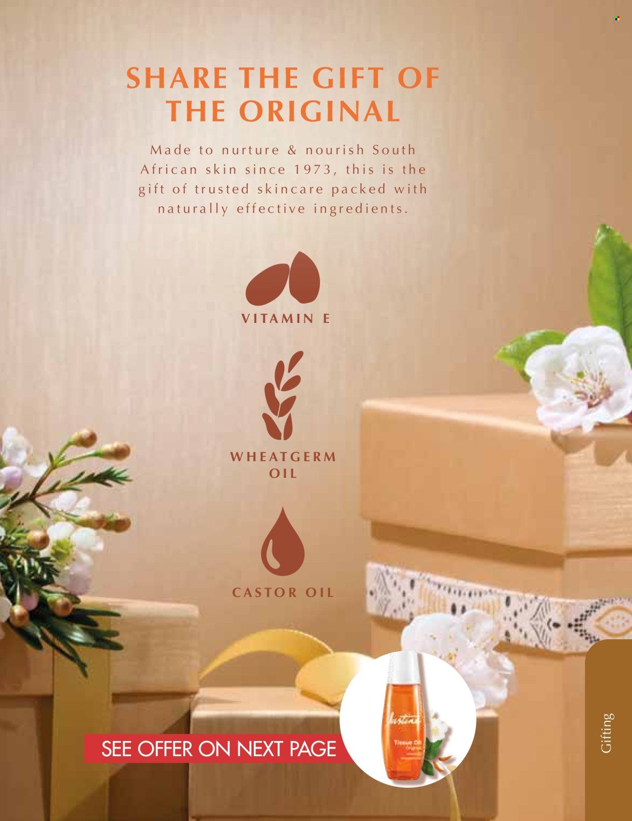 JUSTINE specials - DECEMBER (2025-12-01 - 2025-12-31) | 13