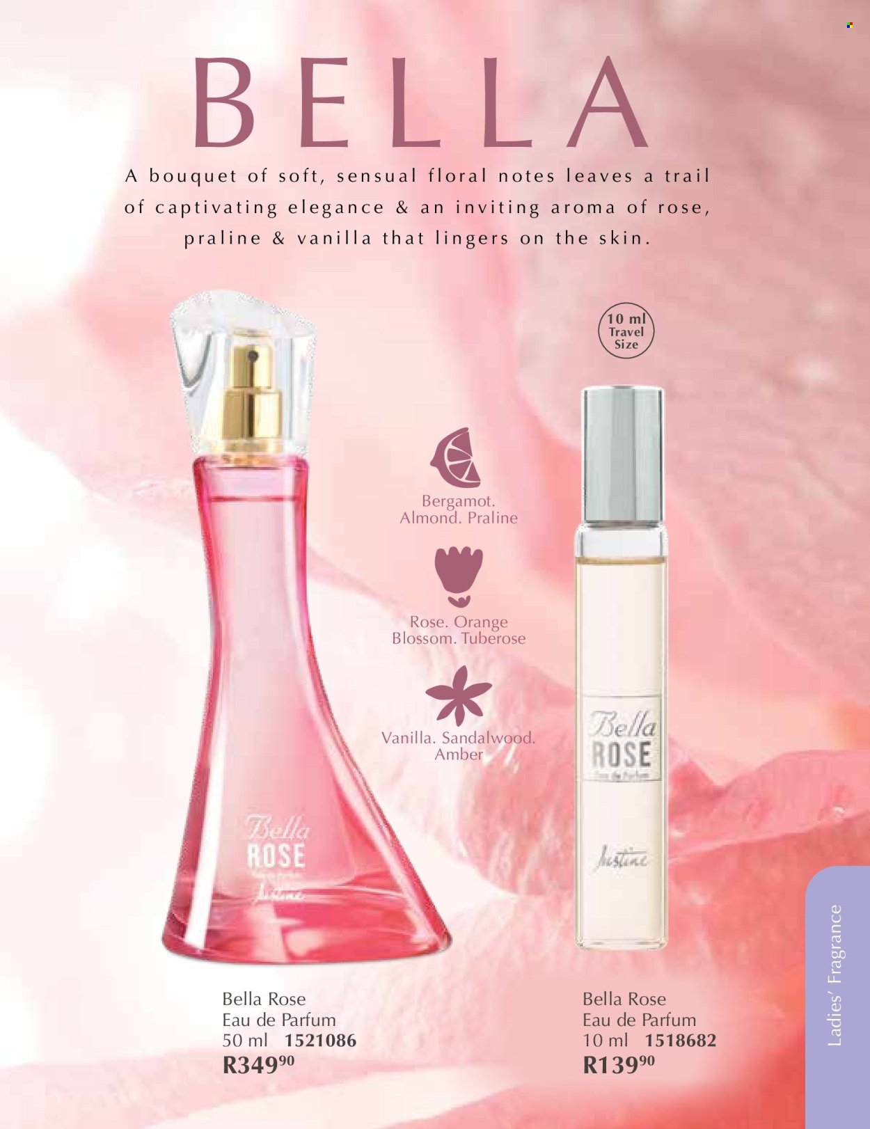 JUSTINE specials - DECEMBER (2025-12-01 - 2025-12-31) | 43