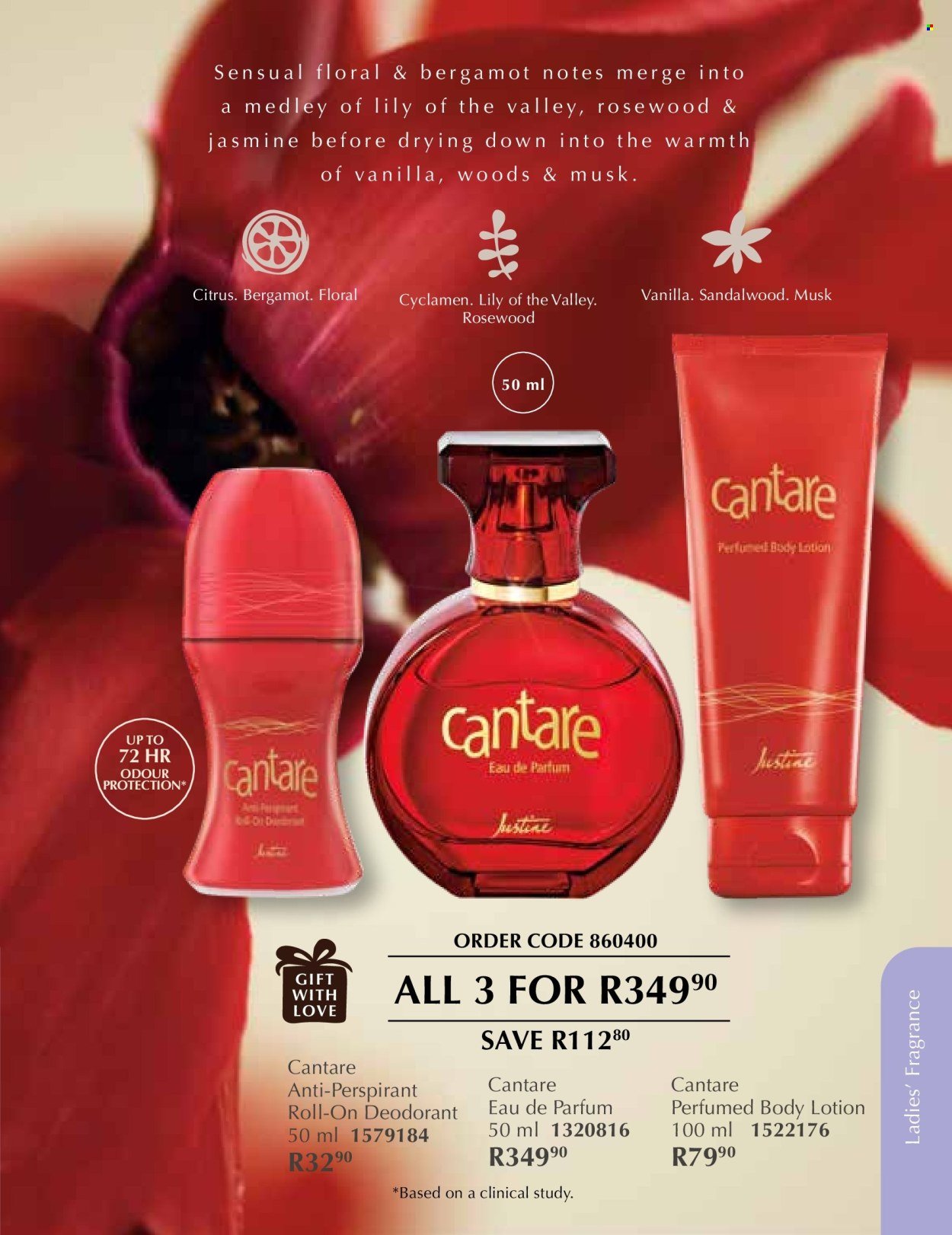 JUSTINE specials - DECEMBER (2025-12-01 - 2025-12-31) | 48