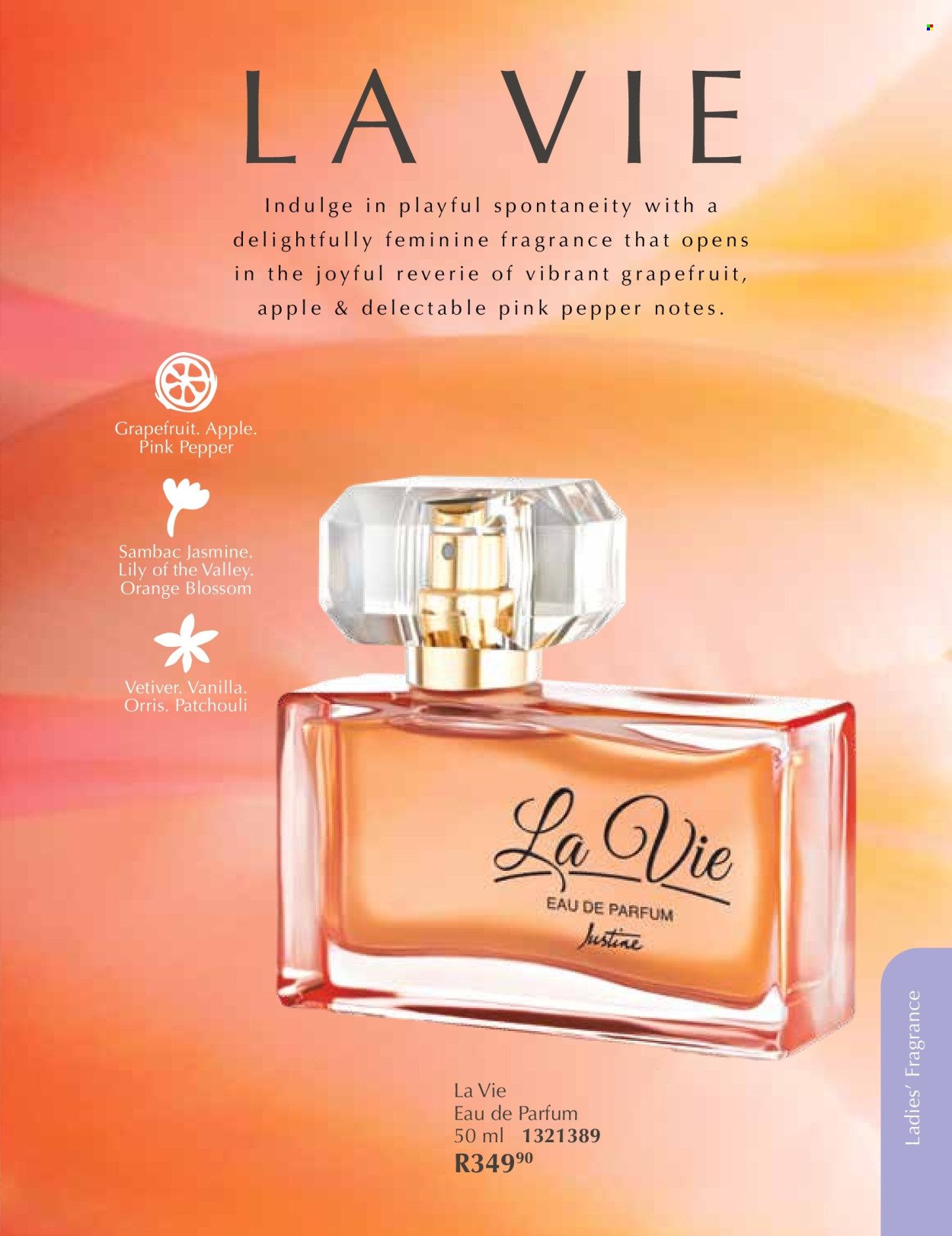 JUSTINE specials - DECEMBER (2025-12-01 - 2025-12-31) | 50