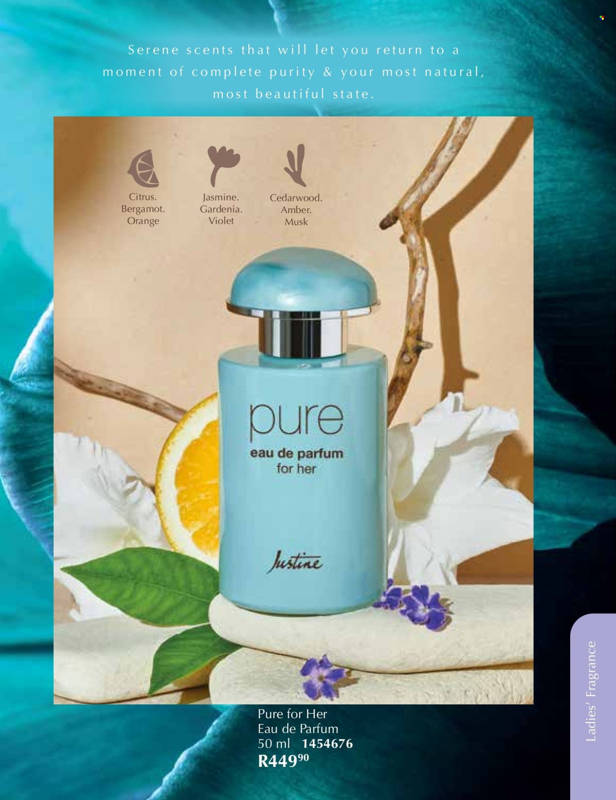 JUSTINE specials - DECEMBER (2025-12-01 - 2025-12-31) | 53