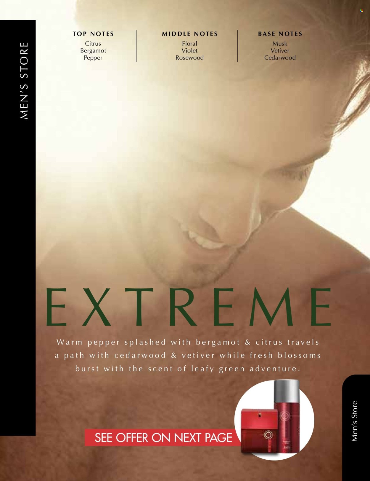 JUSTINE specials - DECEMBER (2025-12-01 - 2025-12-31) | 55