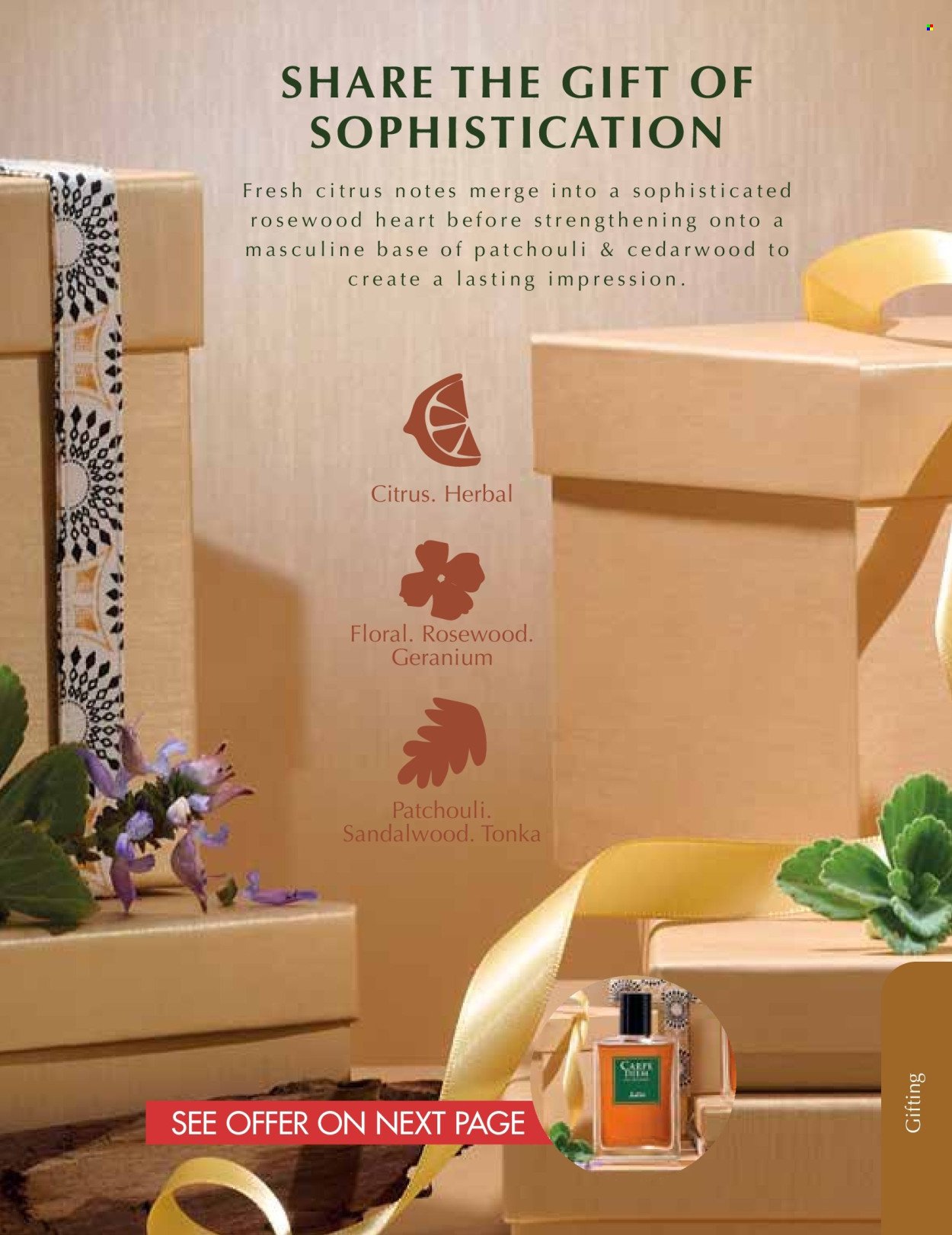 JUSTINE specials - DECEMBER (2025-12-01 - 2025-12-31) | 8