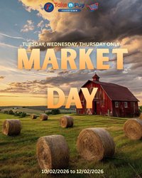 TAKE N PAY specials - From Tuesday 10 Feb 2026 (2026-02-10 - 2026-02-12)