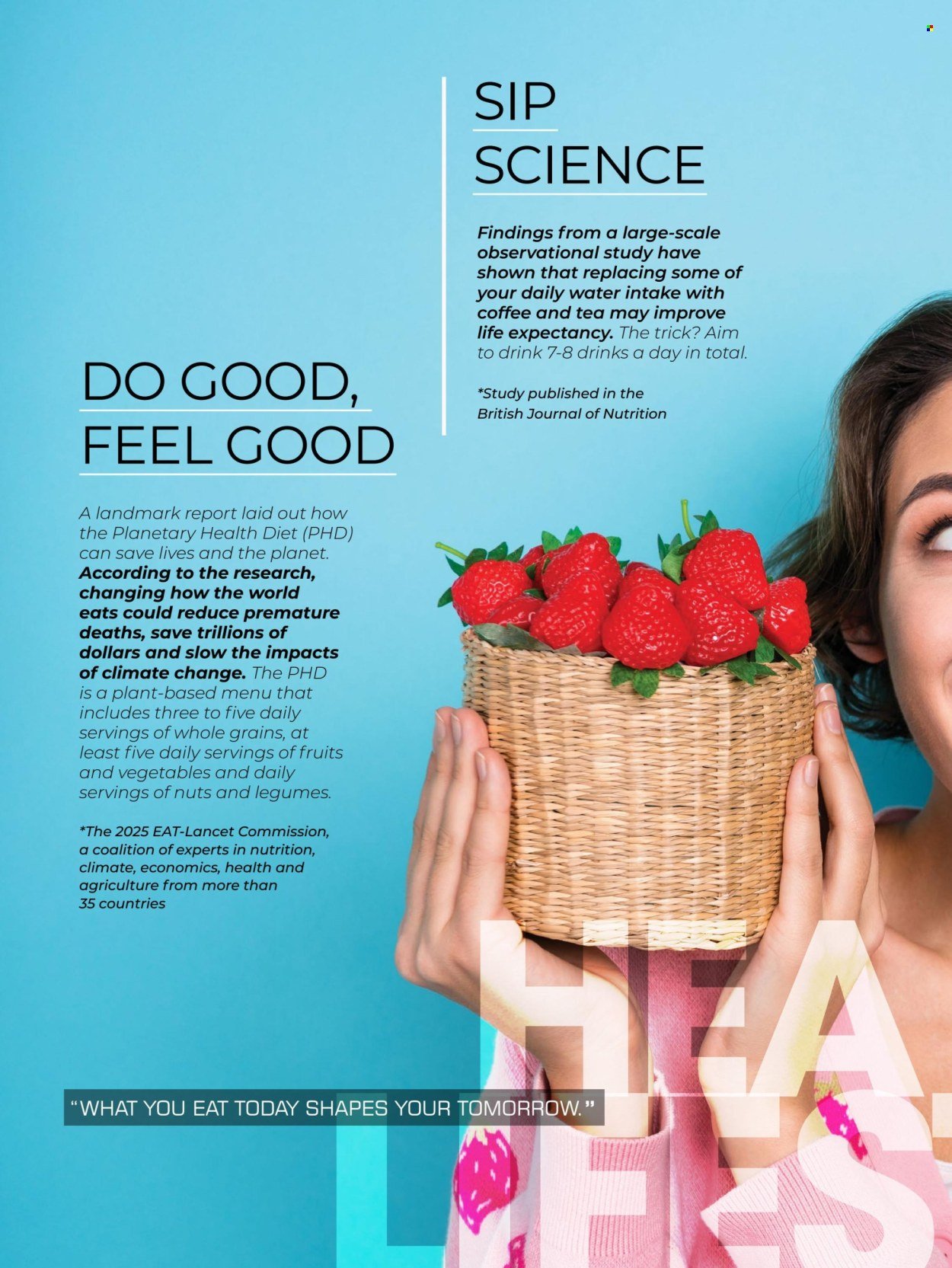 DIS-CHEM specials - Summer 2026 (2025-11-25) | 32