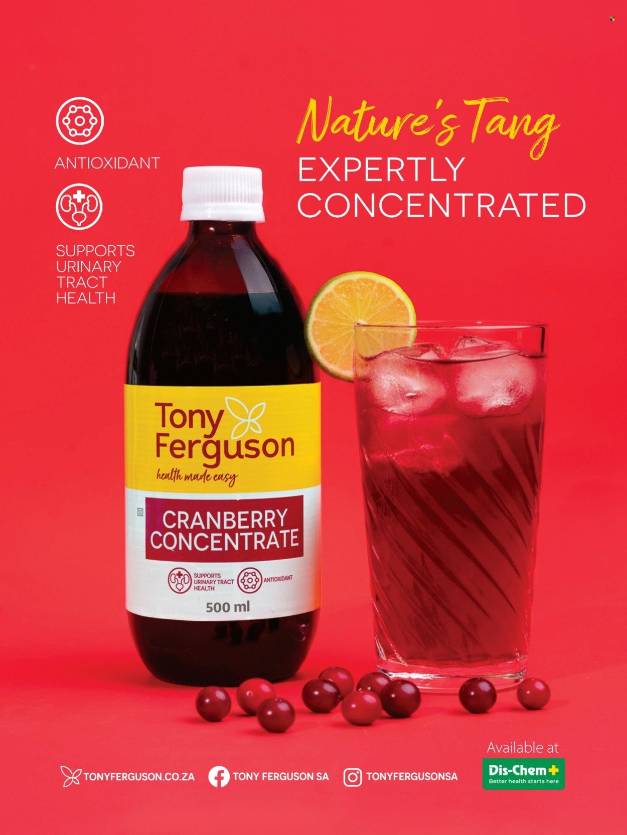 DIS-CHEM specials - Summer 2026 (2025-11-25) | 41