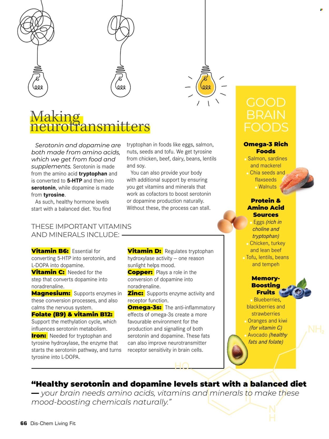 DIS-CHEM specials - Summer 2026 (2025-11-25) | 68