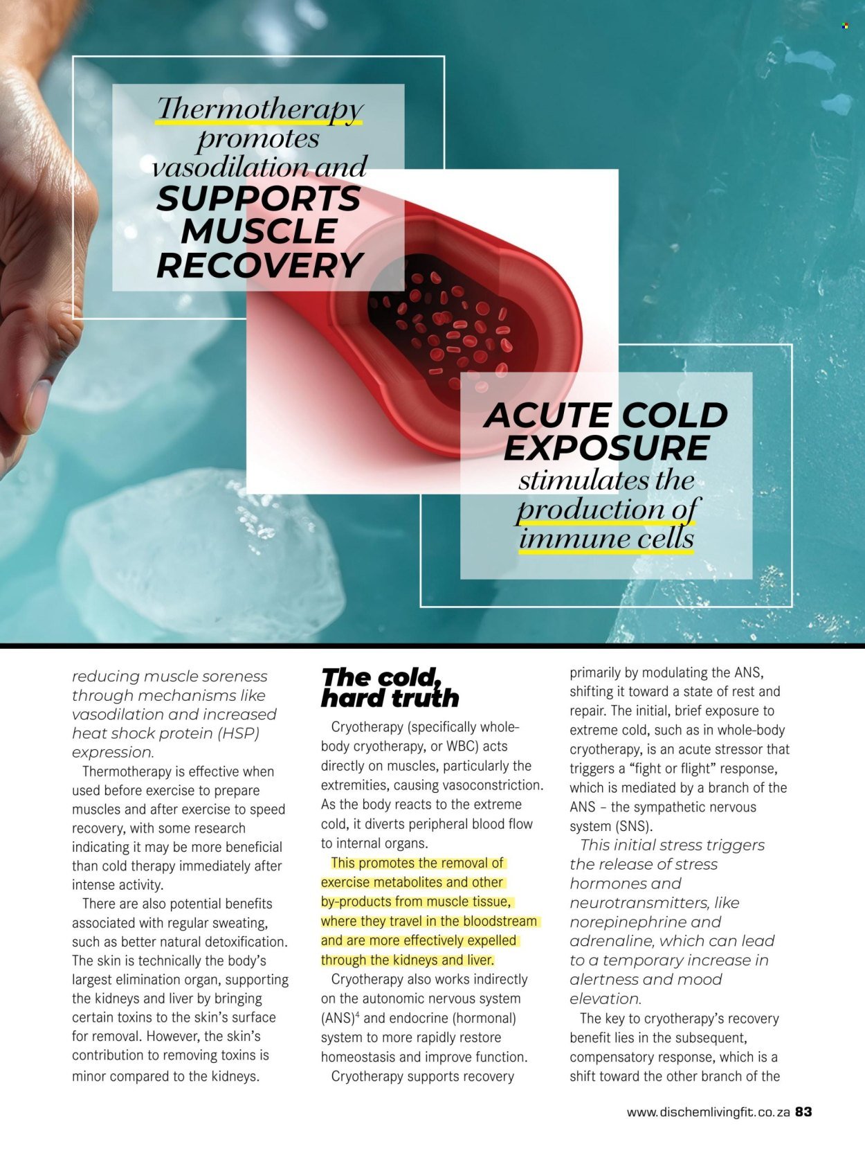 DIS-CHEM specials - Summer 2026 (2025-11-25) | 85