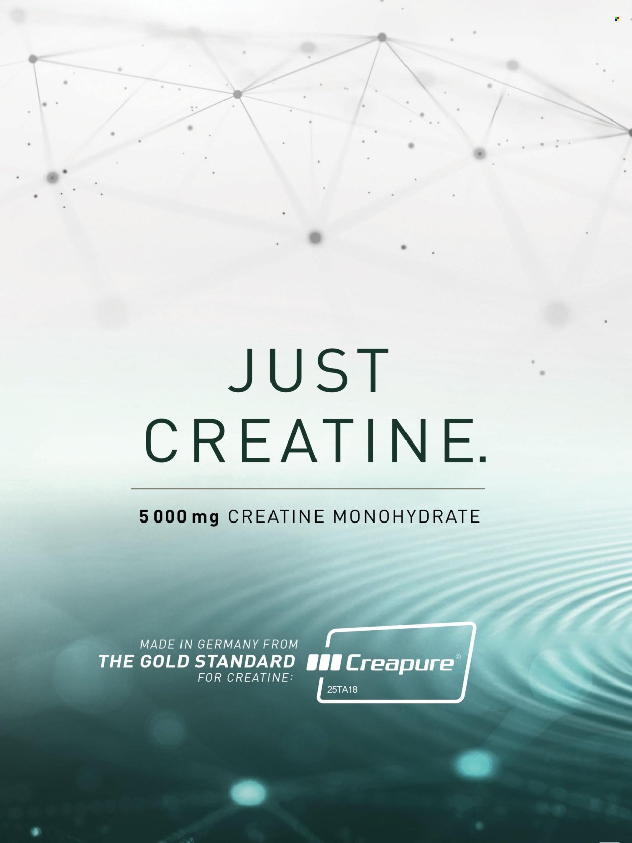 DIS-CHEM specials - Summer 2026 (2025-11-25) | 100