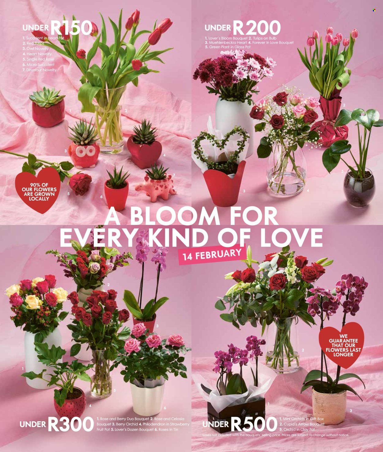 WOOLWORTHS specials - Daily Difference (2026-02-09 - 2026-02-22) | 3