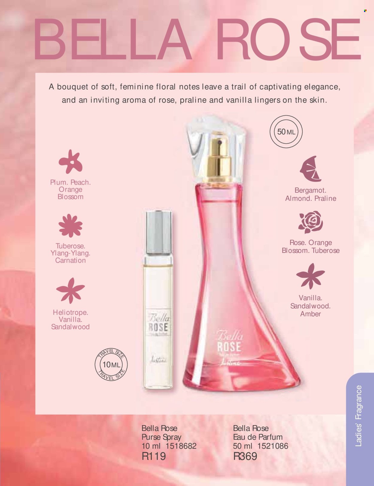 JUSTINE specials - AUGUST