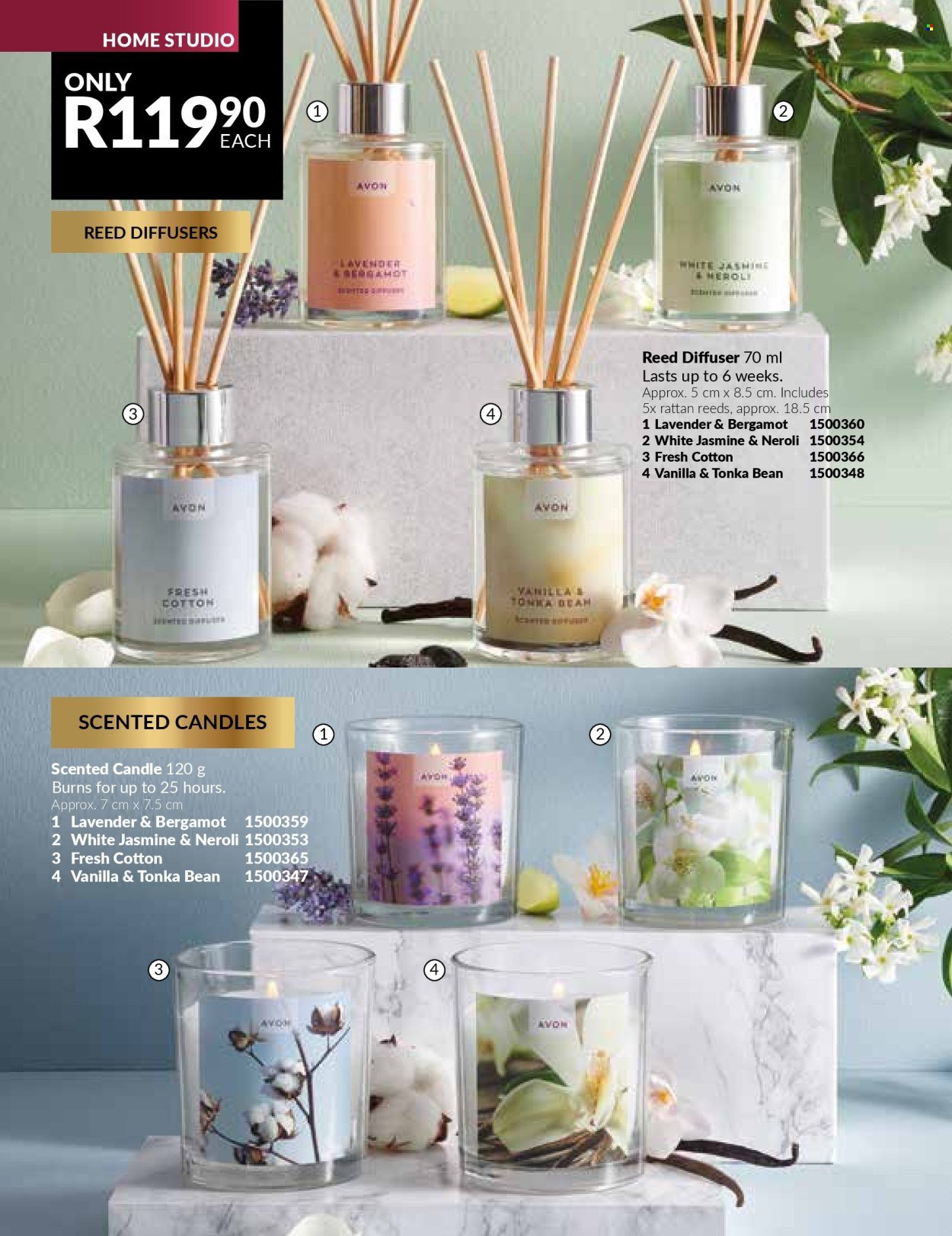 AVON specials - Perfect nonsence (2025-08-01 - 2025-08-31) | 126