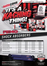 AUTOZONE specials - It's A Ka-Ching Thing!