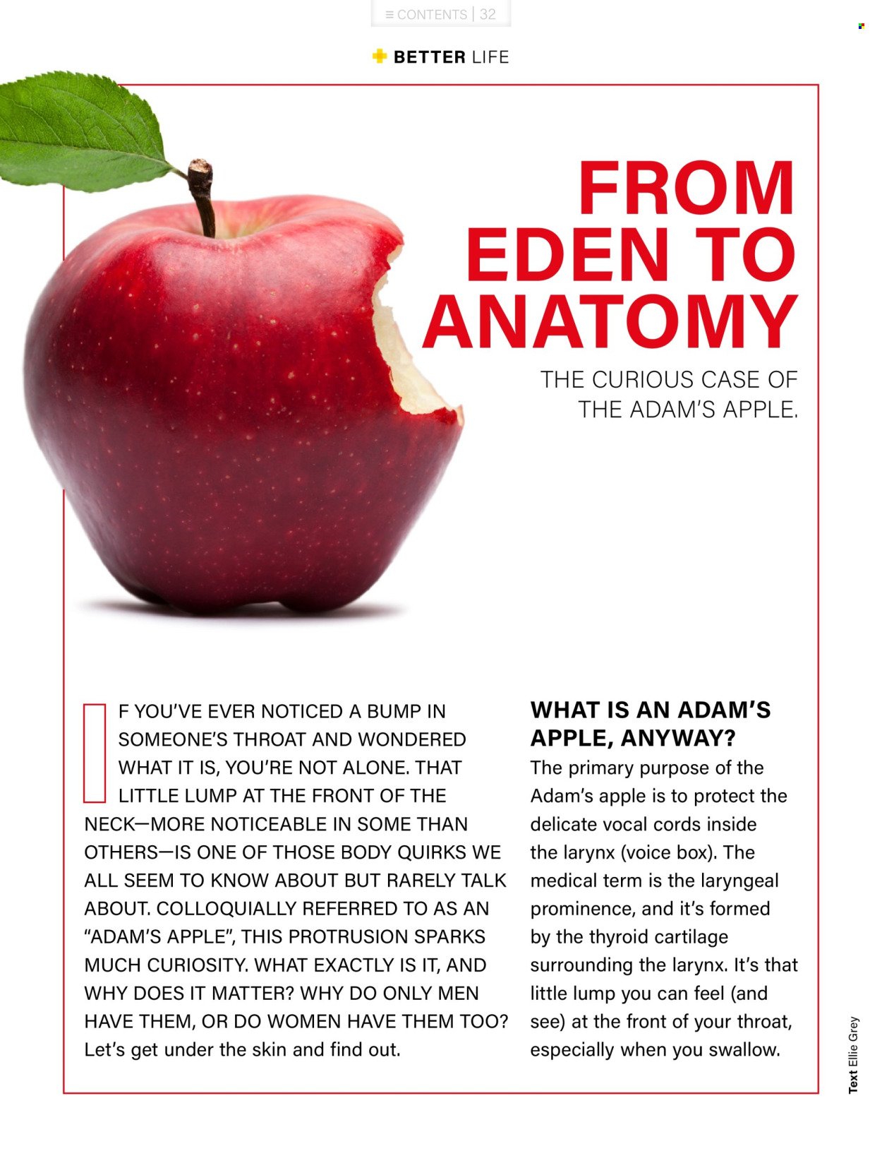 DIS-CHEM specials - Better Magazine (2026-02-01 - 2026-02-28) | 32