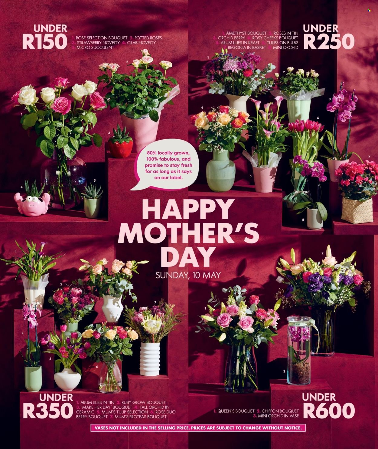 WOOLWORTHS specials - Daily Difference (2026-05-04 - 2026-05-24) | 5