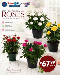 TAKE N PAY specials - August 2026