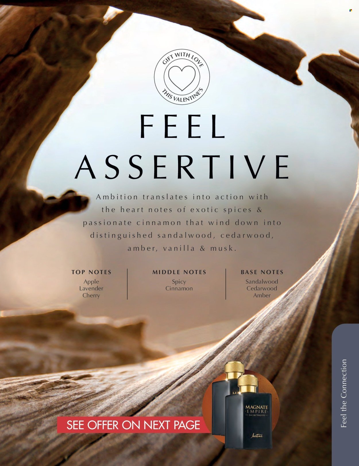 JUSTINE specials - FEBRUARY (2026-02-01 - 2026-02-28) | 12