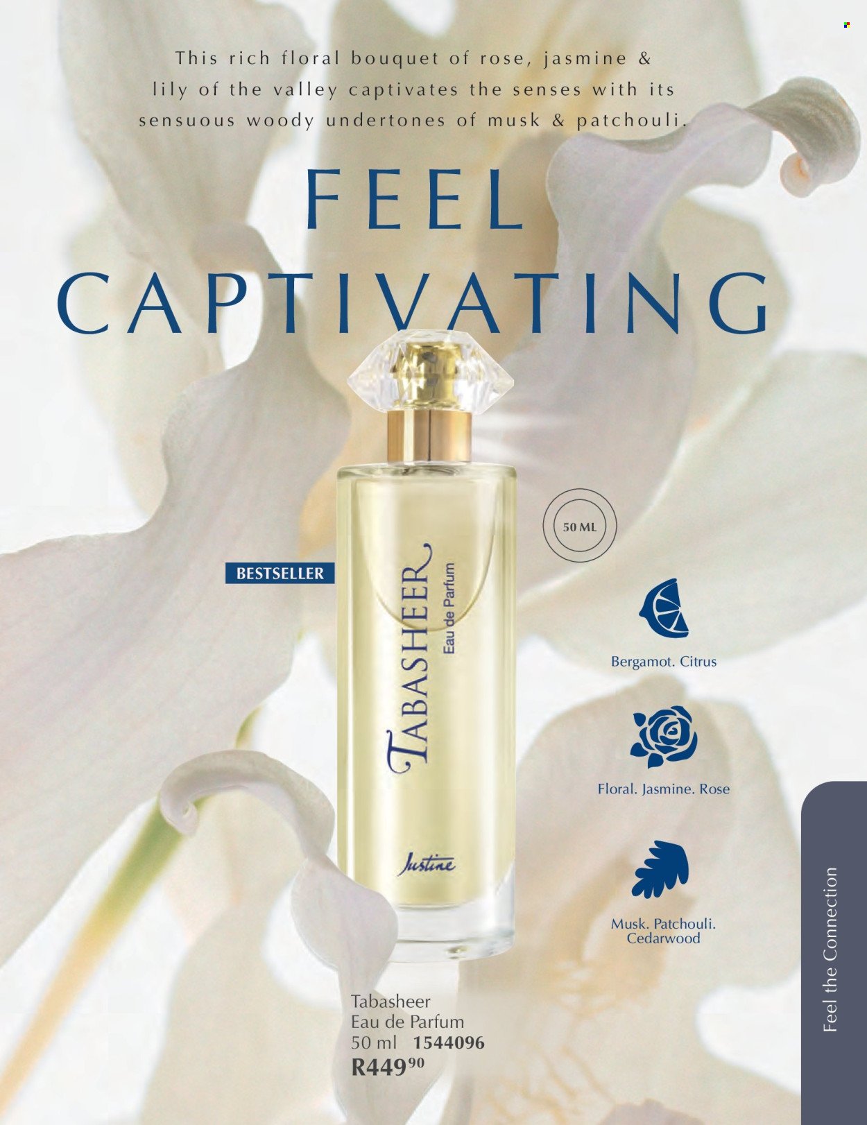 JUSTINE specials - FEBRUARY (2026-02-01 - 2026-02-28) | 6