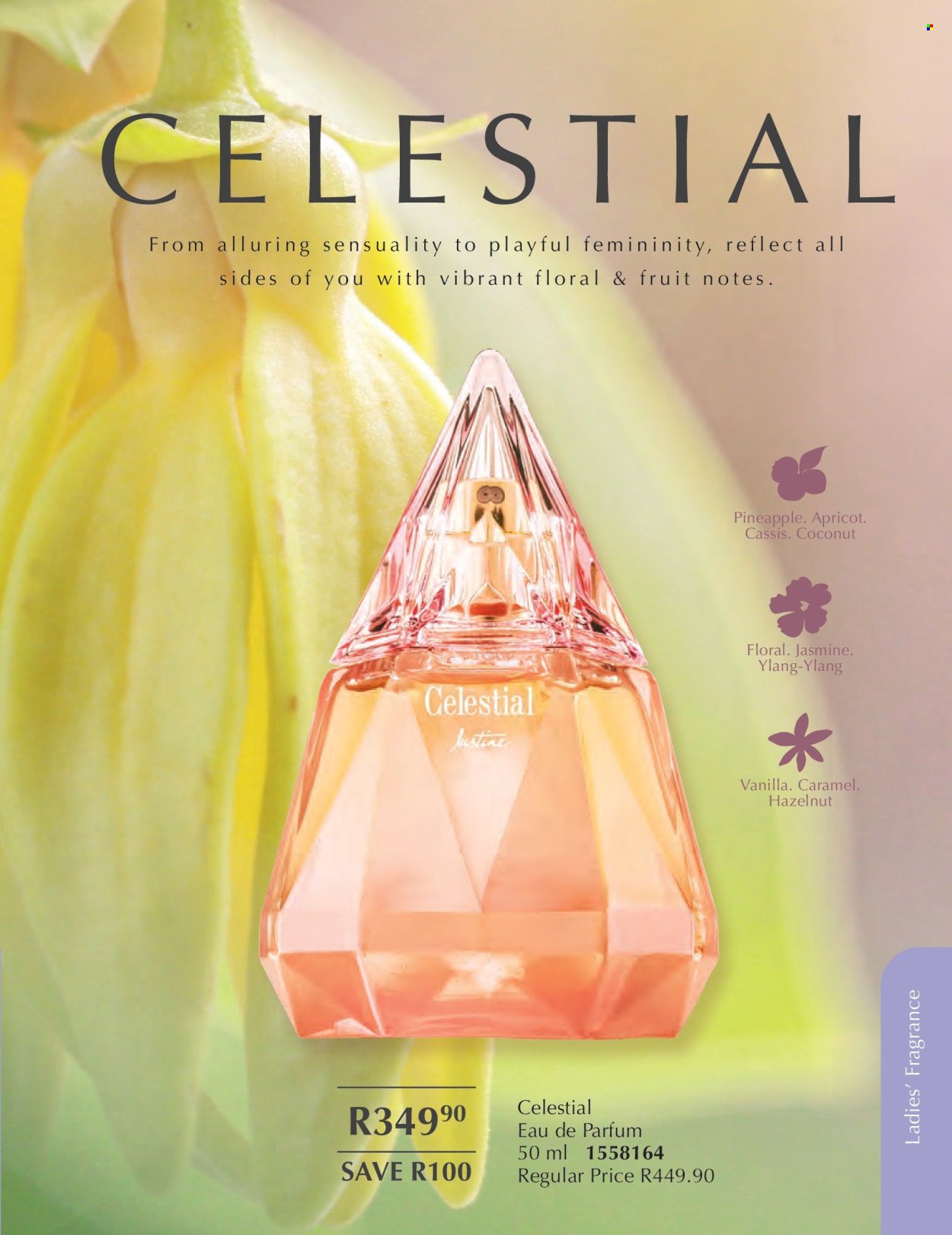 JUSTINE specials - FEBRUARY (2026-02-01 - 2026-02-28) | 53