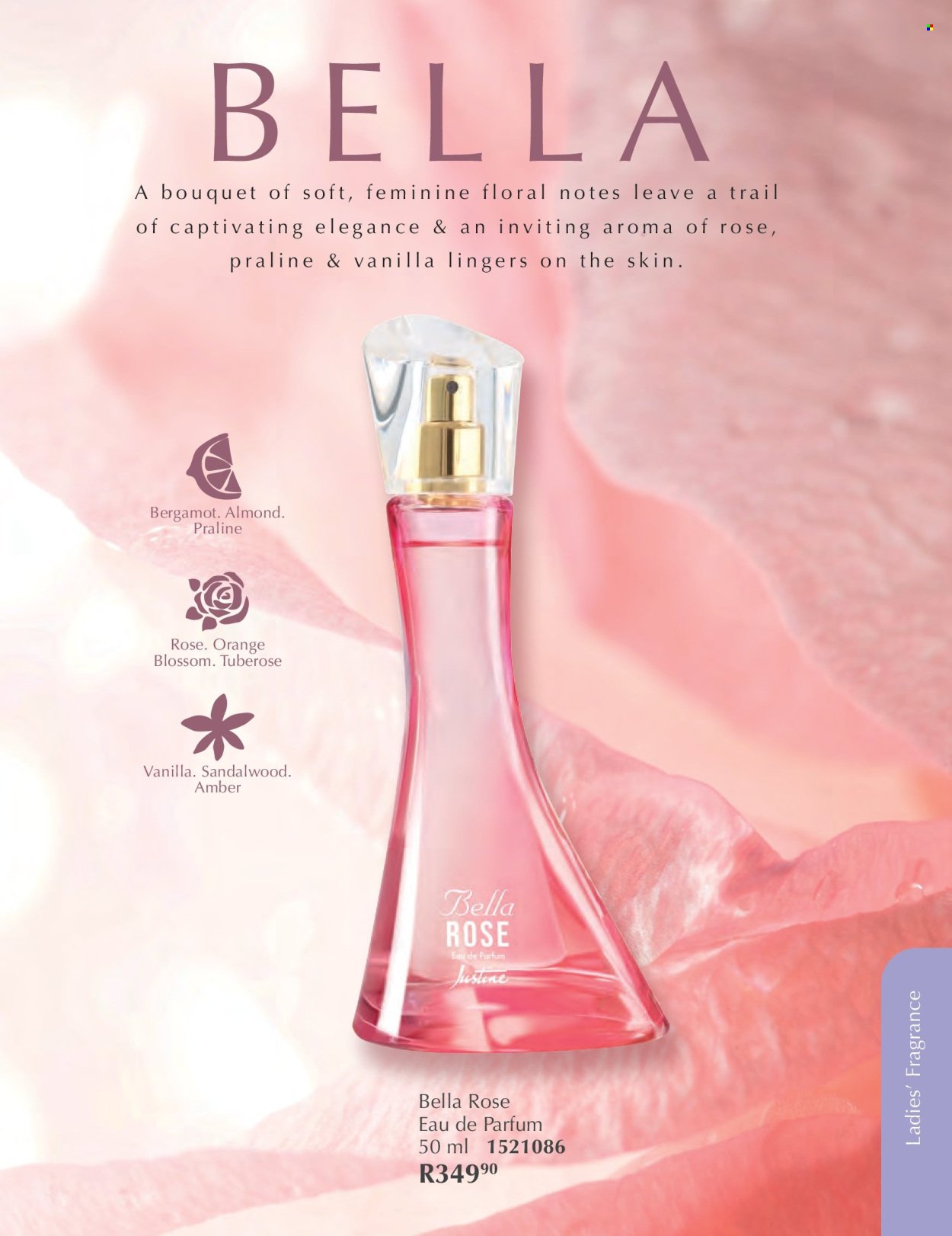 JUSTINE specials - FEBRUARY (2026-02-01 - 2026-02-28) | 54