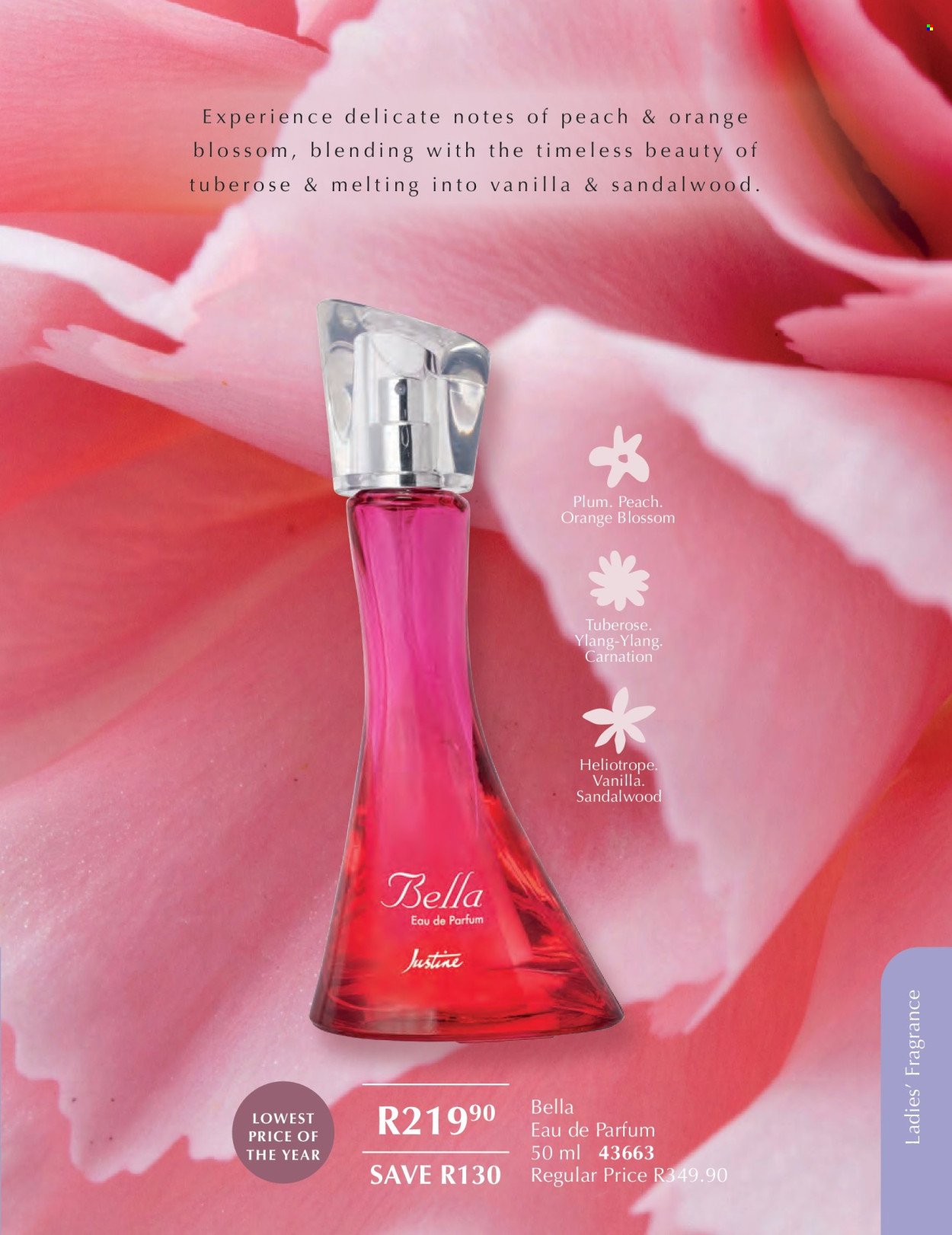 JUSTINE specials - FEBRUARY (2026-02-01 - 2026-02-28) | 55