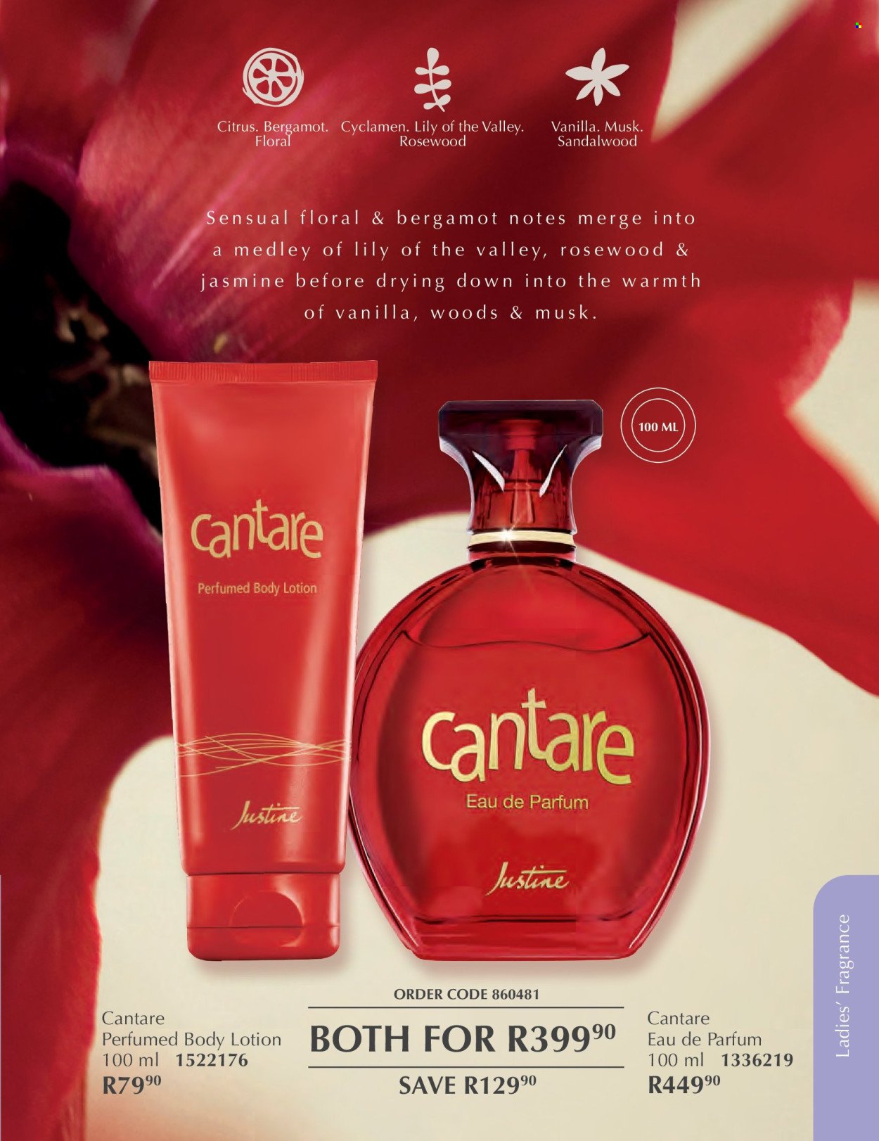 JUSTINE specials - FEBRUARY (2026-02-01 - 2026-02-28) | 57