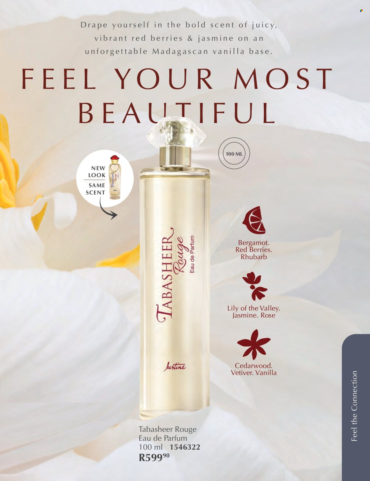 JUSTINE specials - FEBRUARY (2026-02-01 - 2026-02-28) | 10