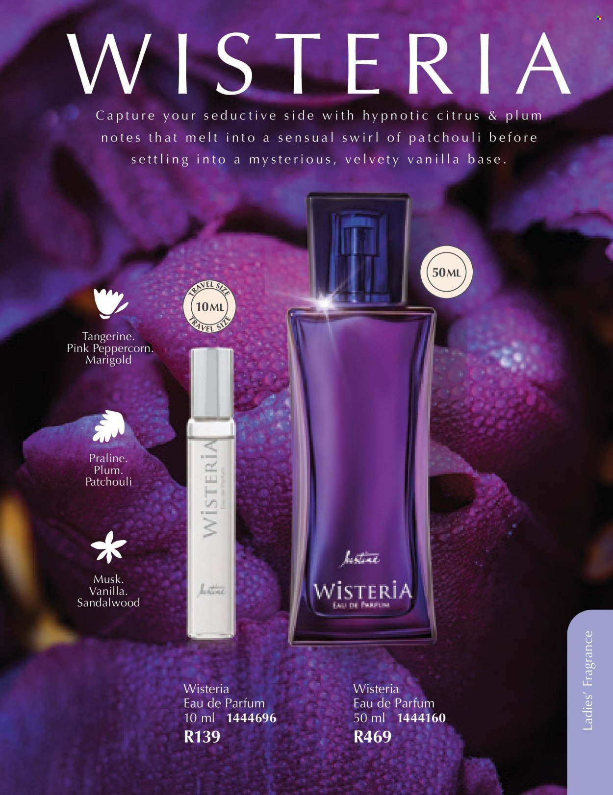 JUSTINE specials - MARCH (2026-03-01 - 2026-03-31) | 47