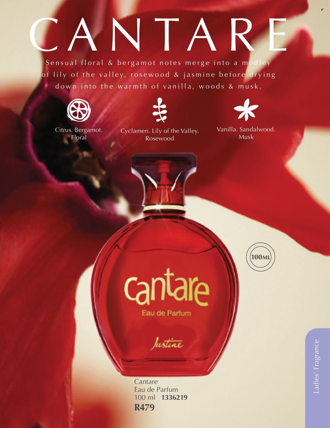 JUSTINE specials - MARCH (2026-03-01 - 2026-03-31) | 48