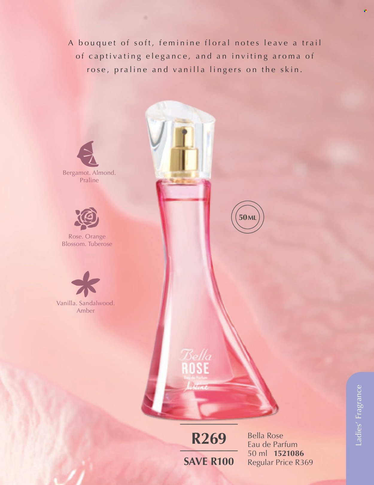 JUSTINE specials - MARCH (2026-03-01 - 2026-03-31) | 53