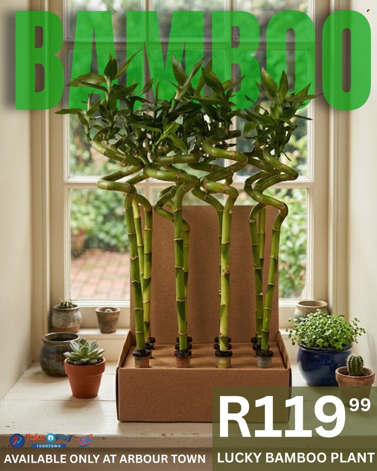 TAKE N PAY specials - March 2026 (2026-03-24) | 1