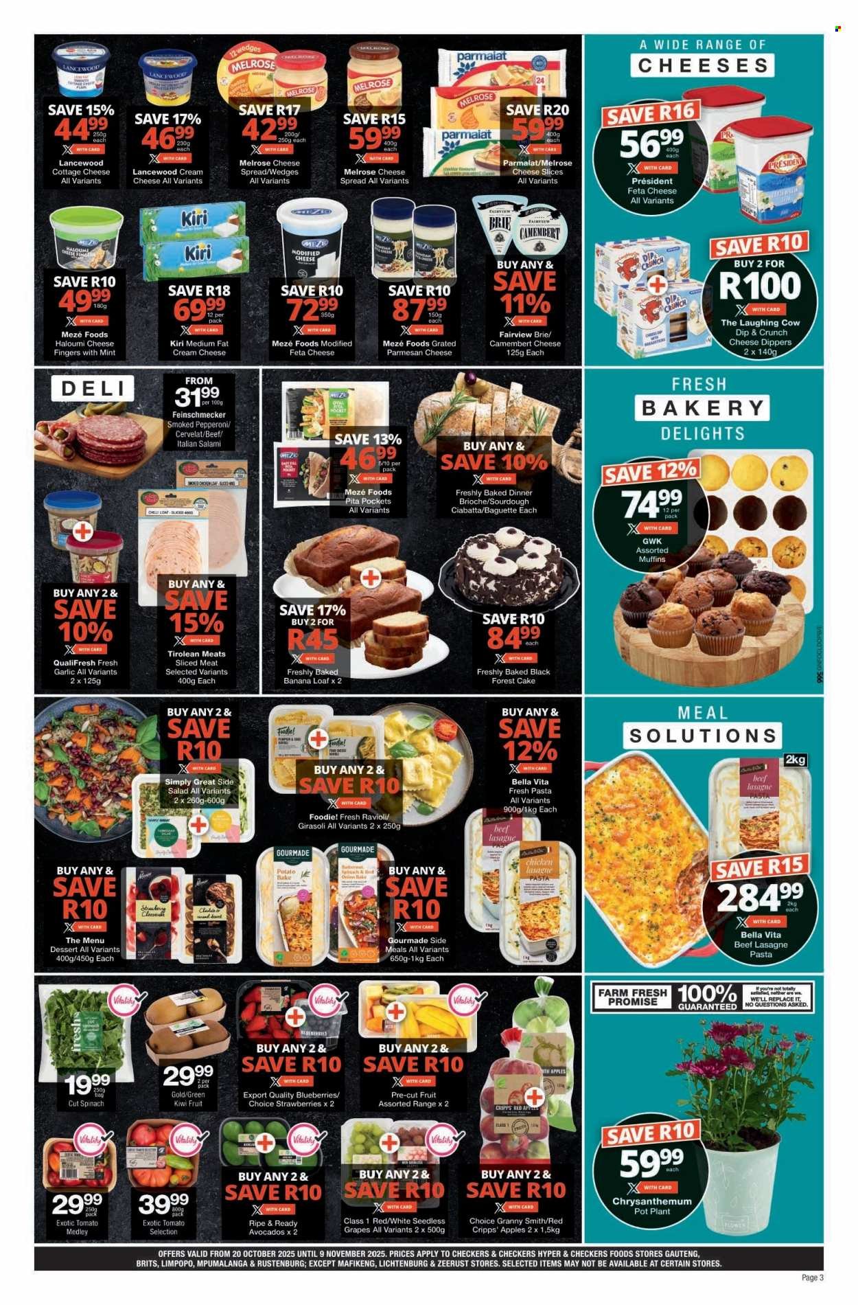 CHECKERS specials - Month-End Promotion (2025-10-20 - 2025-11-09) | 3
