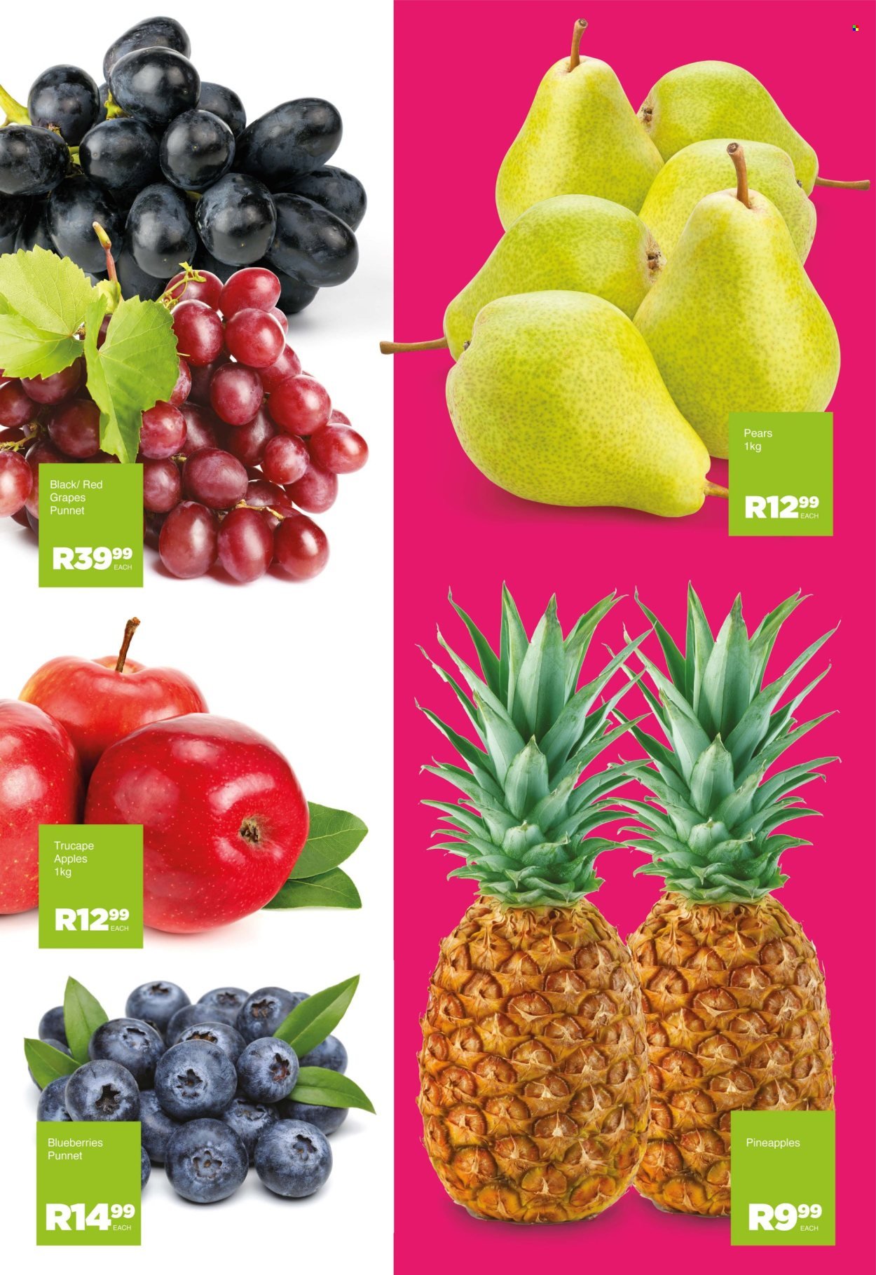 SAVE specials - From Friday 16 Oct 2026